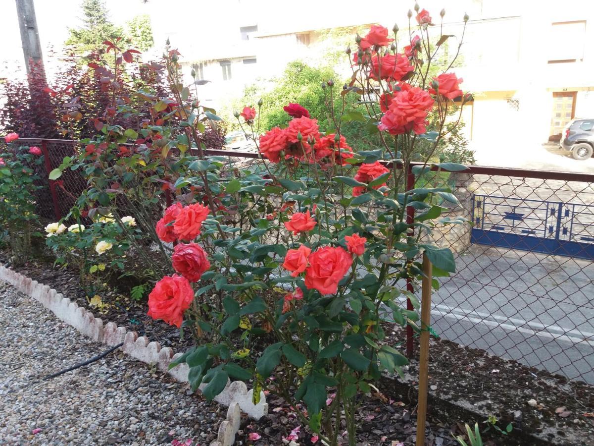 Bed And Breakfast Les Roses Multicolores Du 47 Fumel Exterior foto